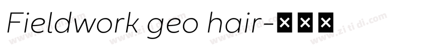 Fieldwork geo hair字体转换